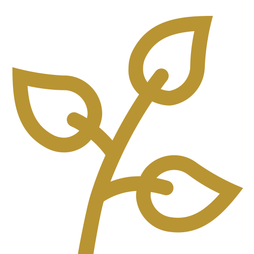 Site Icon
