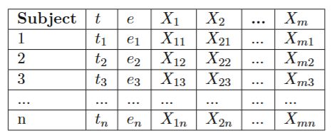 Survival Analysis Models. The general data input structure.